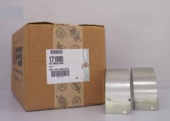 Bộ bạc trục/KIT Bearing (STD)(K38)