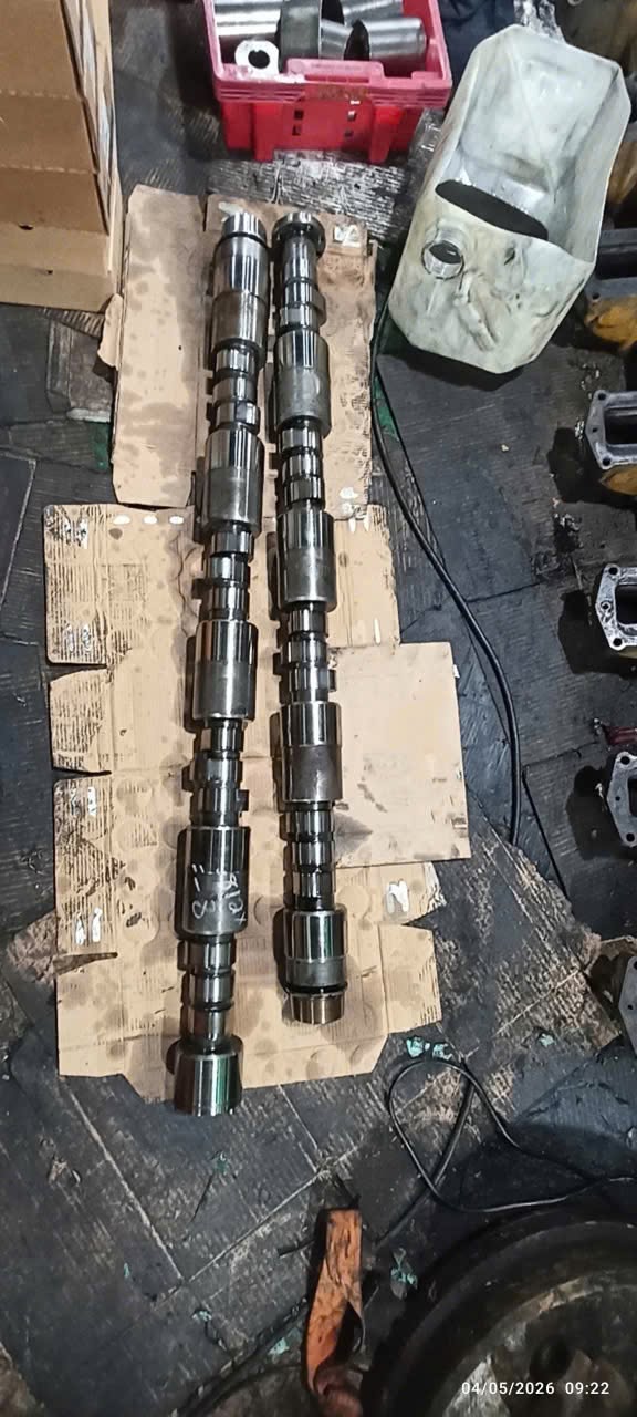 724197201 1831912808194482 6917822188631443005 n